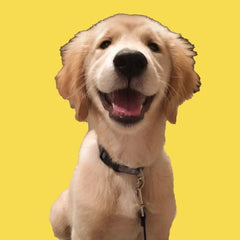 @neely_and_we