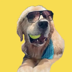 @wallacethegolden